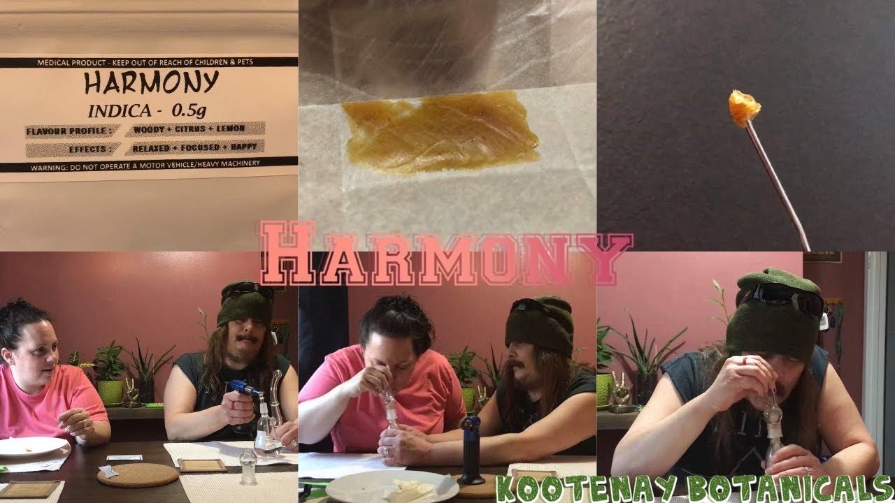 Cigrit & Donna Review “Harmony” (Shatter) From Kootenay Botanicals