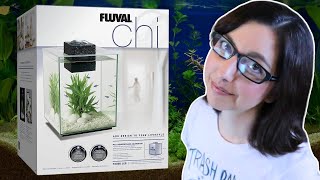 Fluval Chi 5 Gallon Betta Fish Tank Unboxing And Initial Review | Tuesday Tank Reviews