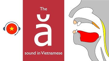 🇻🇳 Vietnamese : ă sound. Learn sound system in Vietnamese. Vietsound.