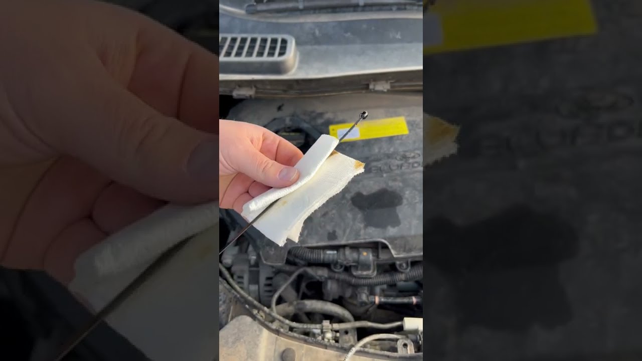 How To Check The Oil In Your Car