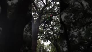 Jimmy Prichard's aerial rescue at the North American open masters Wichita Kansas.