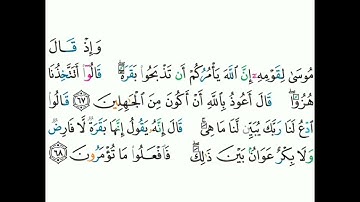 2 - سورة البقرة ٦٧-٦٨ - مشاري بن راشد العفاسي