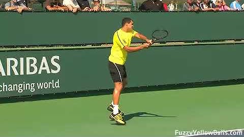 Jo Wilfried Tsonga Backhands in HD