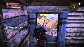 The Witcher 2  Assassins of Kings Enhanced Edition Sackful of Fluff Interactions