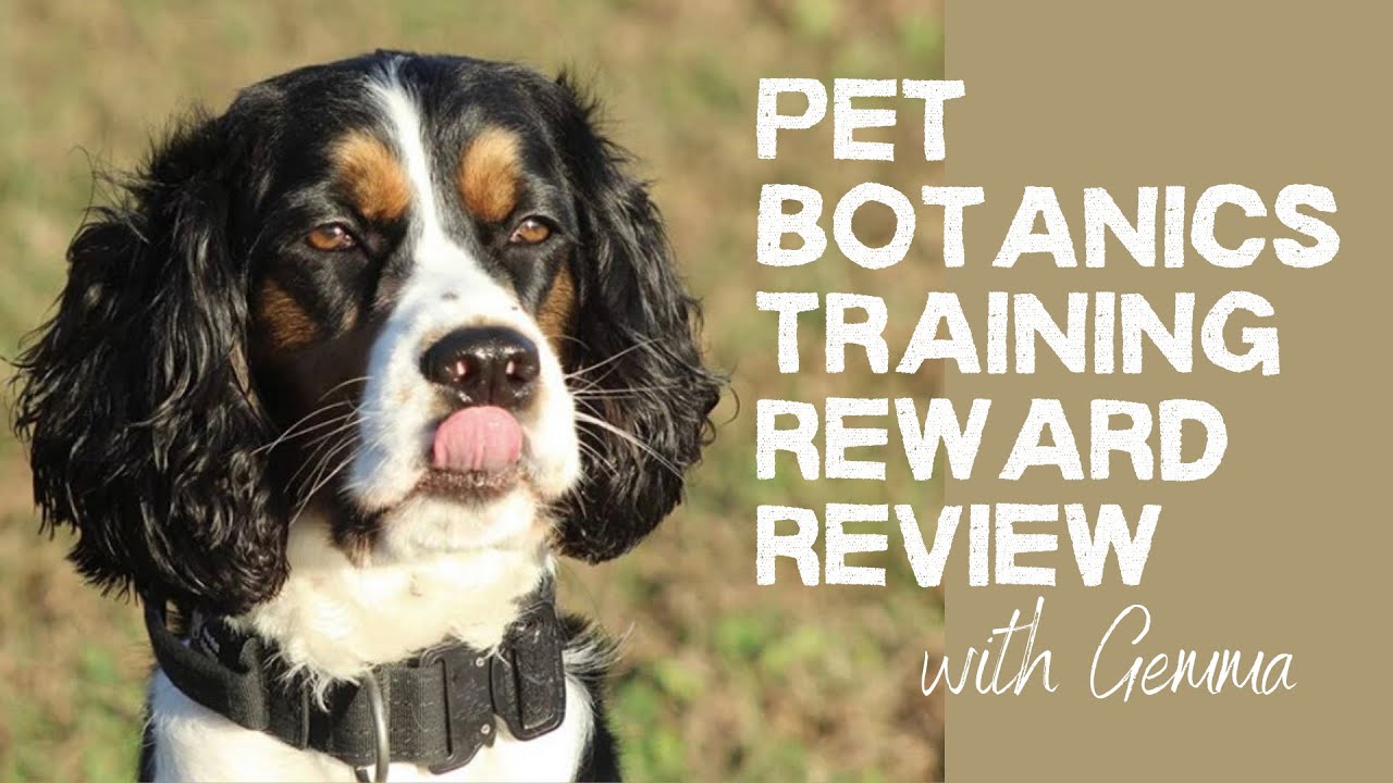 Pet Botanics Training Reward Review With Gemma