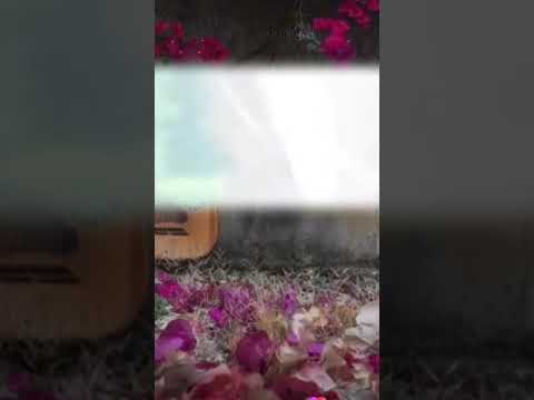 عتابا حالة واتس اب