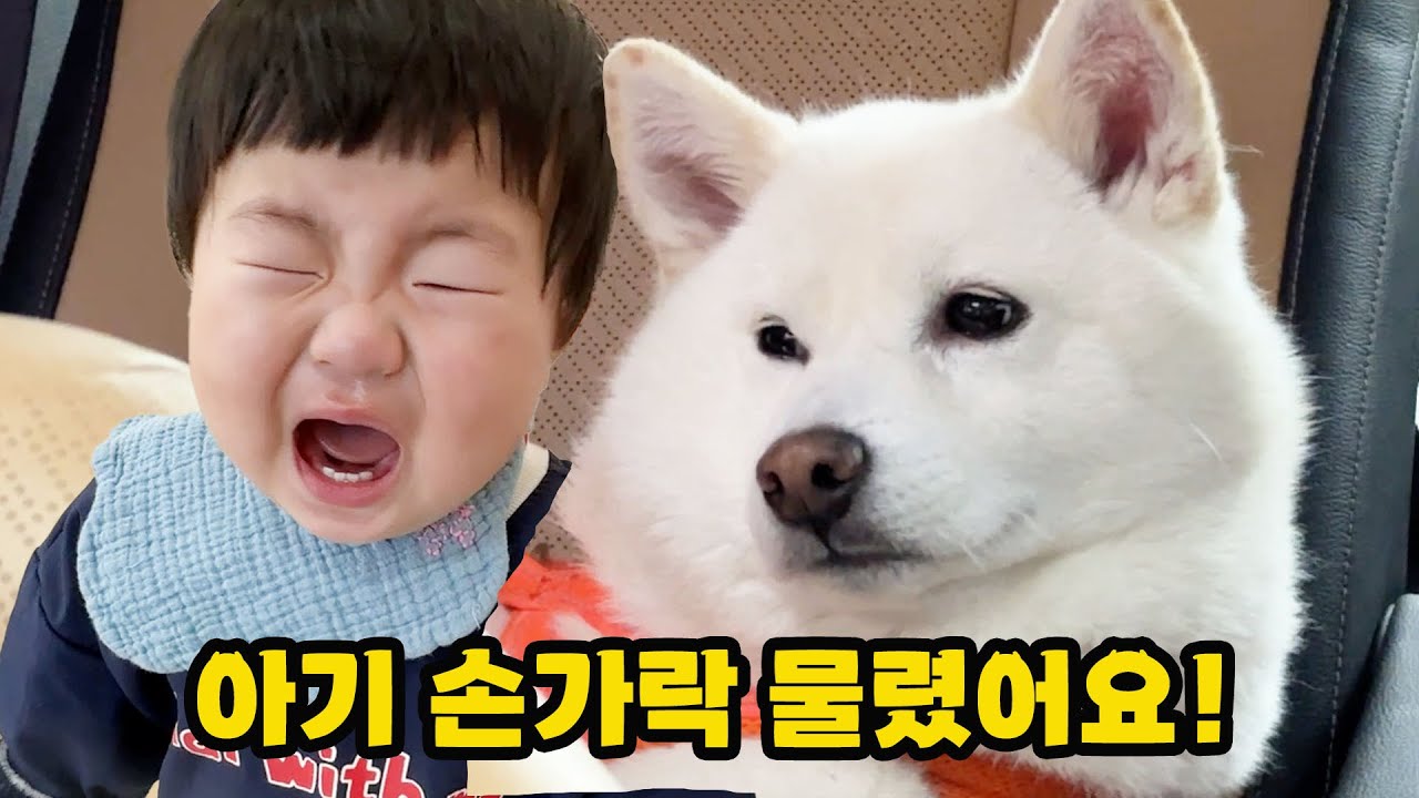 손물림 사고..요즘 정말 왜이러는걸까요ㅠㅠ