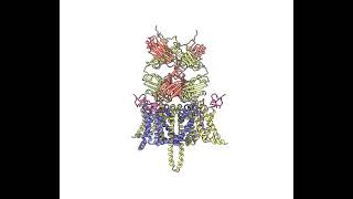 Could monoclonal antibodies replace opioids for chronic pain?