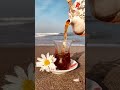 هاني شاكر حالات واتس   