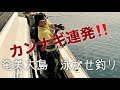 [奄美大島] 深海大物釣りで、カンナギ、カンパチ連発‼️
