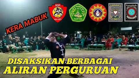 IKSPI KELUARKAN JURUS MABUK & KERA TENGIL | DI HADAPAN PSHT PN TAPAK SUCI ASAD PSHW