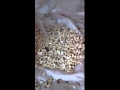How Cashew Nuts Get Processed Perfectly #manufacturing #machinery