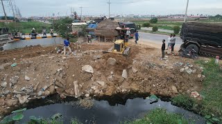 Nice Incredible New Project Build New Road, Bulldozer D31P Showing Superpower Push Soil into Water