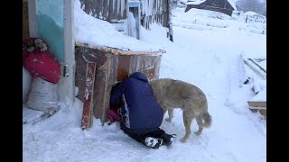 После этой новости, теща залезла в будку для собаки