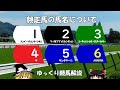 ゆっくり競馬解説　競走馬の馬名について