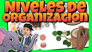 🐼🌼 NIVELES de ORGANIZACIÓN de los SERES VIVOS con EJEMPLOS para NIÑOS