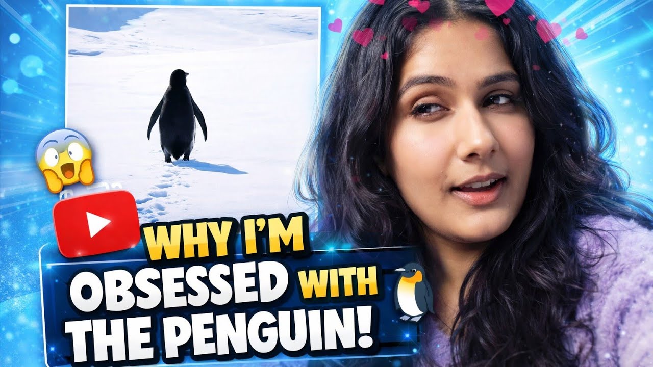 The penguin 🐧❤️