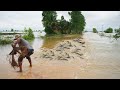 Top10 Videos Catching &amp; Catfish on the Road Flooded - Amazing Fishing A lot Fish