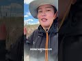 从牧羊女到农女:乡村生活的转变
