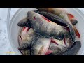 ПОИСК ОКУНЯ ЗАКОНЧИЛСЯ на неизвестном озере | Fishing in Russia