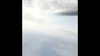 DAUN PUSPA VERSI PUNK ROCK