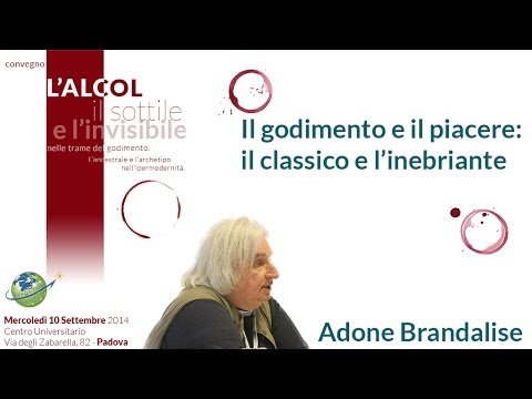 Video: Qual è il significato di inebriante?