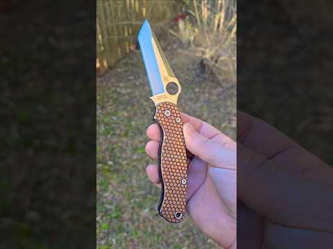 My Favorite Spyderco Mod So Far! The Paramilitary 2 Tanto    