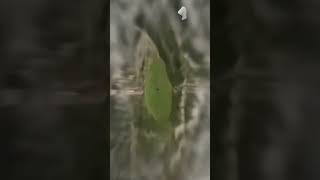 Download Lagu donkey funny#subscribe #short #shear #like MP3