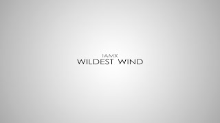 IAMX - Wildest Wind (Subtitulada al Español) (Lyrics)