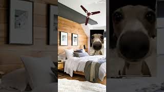 Pov You Jump On The Bed