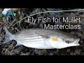 Part 2  mullet masterclass  uk saltwater fly fishing