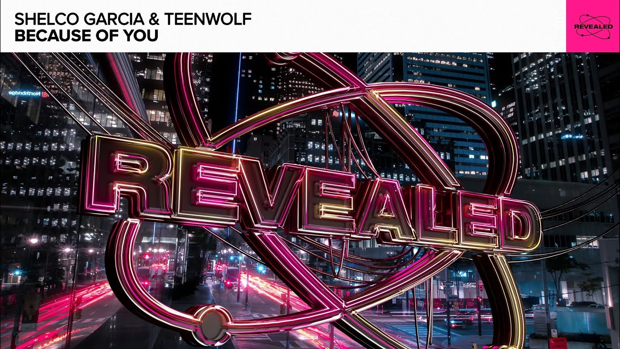Shelco Garcia & Teenwolf - Because Of You [FREE DOWNLOAD]