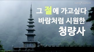 [BBS 인기동영상] 바람처럼 시원한 