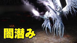 Dark Souls Ii Scholar Of The First Sin Boss 汎克拉德 ヴァンクラッド アスト ディス 阿斯特 迪斯 Dis黒き銃神