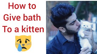 How to give bath to a kitten without making it to scared in urdu and hindi