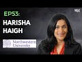 Northwestern university  harisha haigh on manager selection  e53