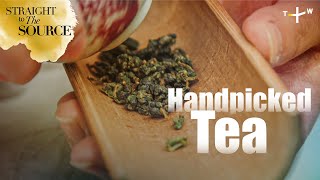 Taiwanese Tea How Its Picked And Processed Straight To The Source Ep.5