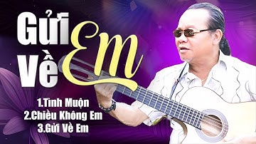 BUỒN THẤU TIM Với Liên Khúc Trữ Tình Cực Hay Của Toàn Nguyễn | Chiều Không Em, Tình Muộn...