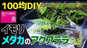 イモリ メダカの アクアテラリウム 作り方100均diy メダカ室内飼育にも使えるイモリウム作成 How To Make A Tabletop Aquaterrarium Mp3