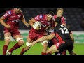 Steven Shingler - Scarlets Preview