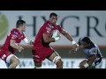 Steven Shingler - Scarlets Preview