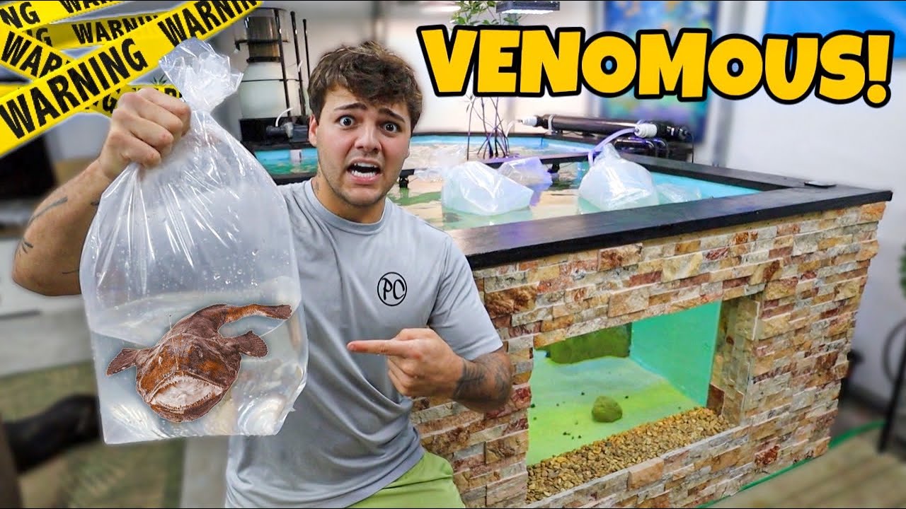 Buying VENOMOUS FISH for My SALTWATER POND!!