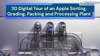 Fruit Sorting & Grading Facility Digital Twin Experience #3dvirtualtour #ColdStorage
