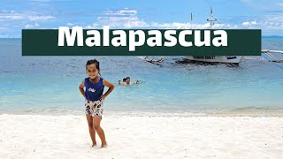 Malapascua • Danse avec un Requin-renard sur la plage de Bounty