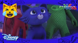 Pijamaskeliler | Kedi Çocuk Gerçekten Kedi Oluyor 🙀 | Disney Channel Türkiye Resimi