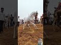 Horse Dance Dancing Horse Beautiful Horse Dance Arabian Horse Horselover