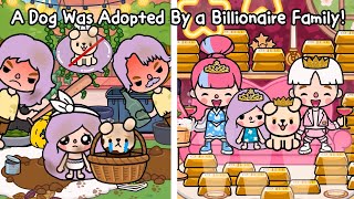 A Dog Was Adopted By a Billionaire Family! 🐶💵 Sad Story | Toca Life Story | Toca Boca