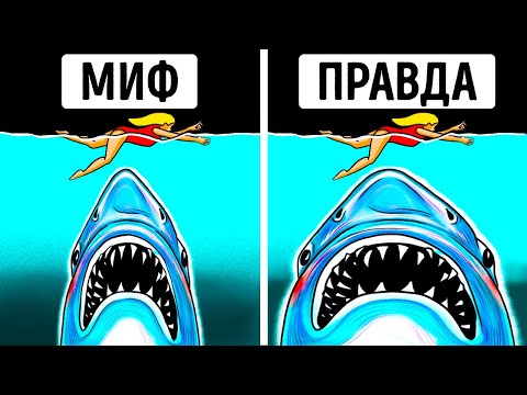 Видео: Укус Серебряной Рыбы? Факты, мифы и как избавиться от них