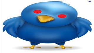 The Twitter Experience