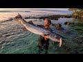 Freaky Monster Fish Caught in Rock Pool!!